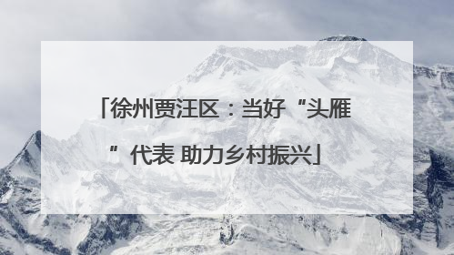 徐州贾汪区：当好“头雁”代表 助力乡村振兴
