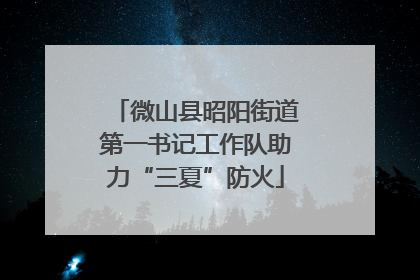 微山县昭阳街道第一书记工作队助力“三夏”防火
