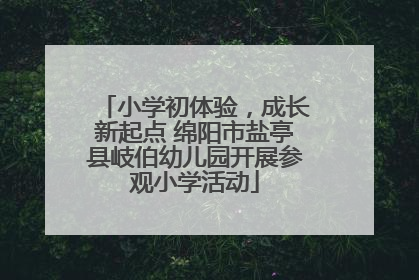 小学初体验，成长新起点 绵阳市盐亭县岐伯幼儿园开展参观小学活动