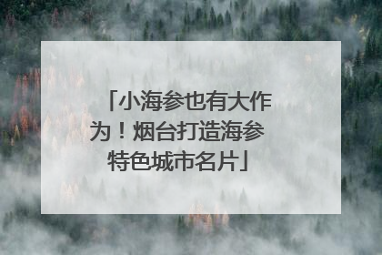 小海参也有大作为！烟台打造海参特色城市名片