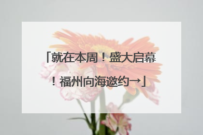 就在本周！盛大启幕！福州向海邀约→