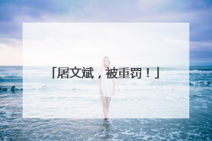 屠文斌，被重罚！