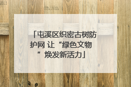 屯溪区织密古树防护网 让“绿色文物”焕发新活力