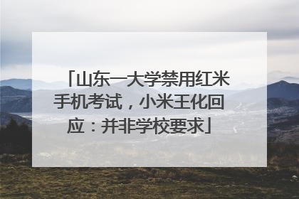 山东一大学禁用红米手机考试，小米王化回应：并非学校要求