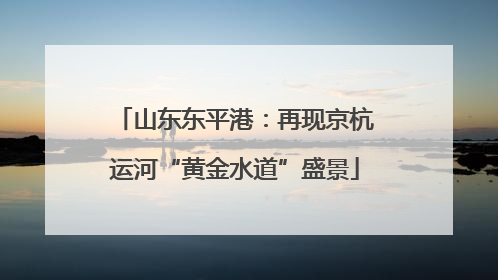 山东东平港：再现京杭运河“黄金水道”盛景