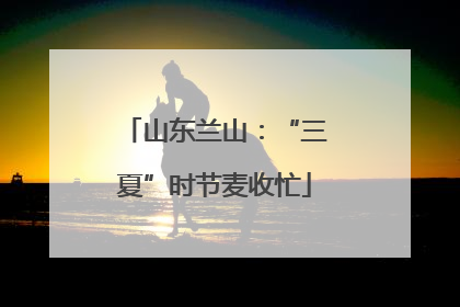 山东兰山：“三夏”时节麦收忙