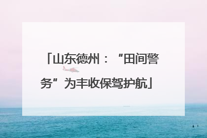山东德州：“田间警务”为丰收保驾护航