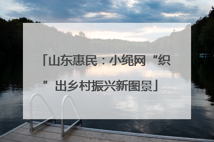 山东惠民：小绳网“织”出乡村振兴新图景