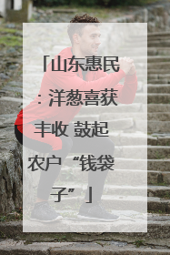 山东惠民：洋葱喜获丰收 鼓起农户“钱袋子”
