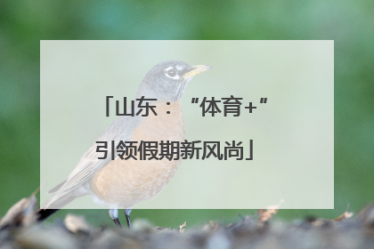 山东：“体育+”引领假期新风尚
