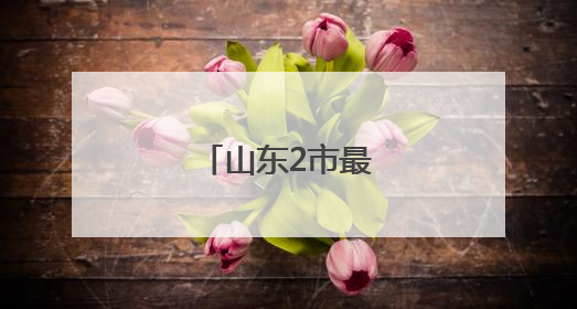山东2市最新人事任免