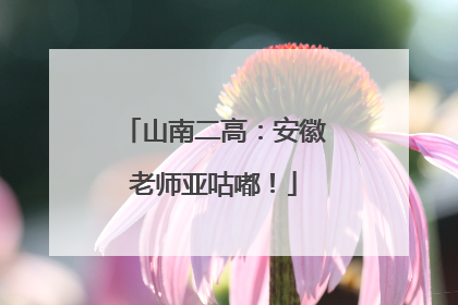 山南二高：安徽老师亚咕嘟！