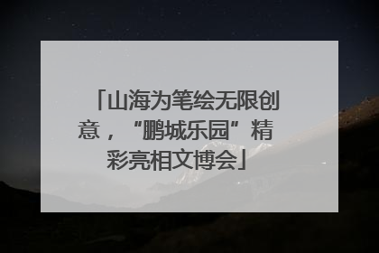 山海为笔绘无限创意，“鹏城乐园”精彩亮相文博会