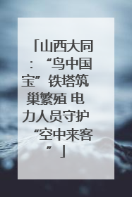 山西大同：“鸟中国宝”铁塔筑巢繁殖 电力人员守护“空中来客”