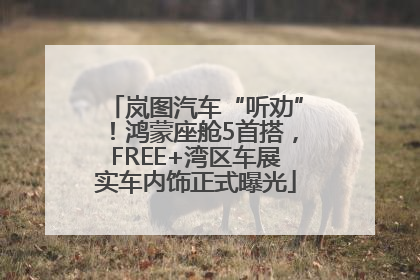岚图汽车“听劝”！鸿蒙座舱5首搭，FREE+湾区车展实车内饰正式曝光