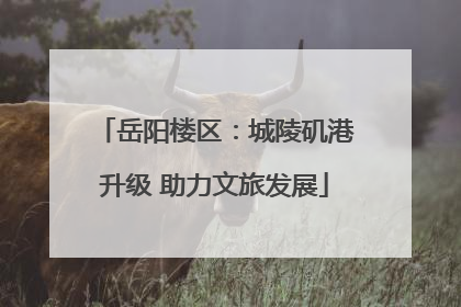 岳阳楼区：城陵矶港升级 助力文旅发展