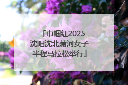 巾帼红2025沈阳沈北蒲河女子半程马拉松举行