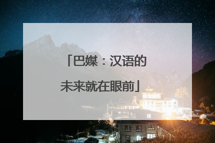 巴媒：汉语的未来就在眼前