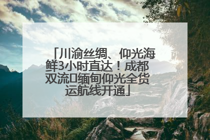 川渝丝绸、仰光海鲜3小时直达！成都双流⇌缅甸仰光全货运航线开通