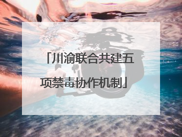 川渝联合共建五项禁毒协作机制