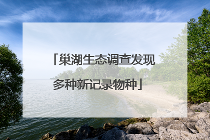 巢湖生态调查发现多种新记录物种