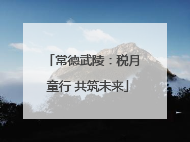 常德武陵：税月童行 共筑未来