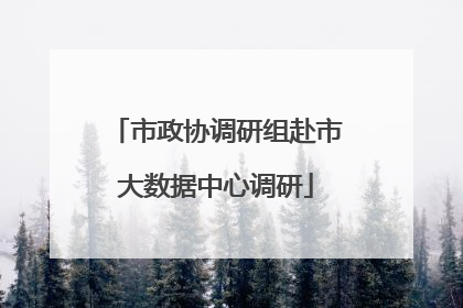 市政协调研组赴市大数据中心调研