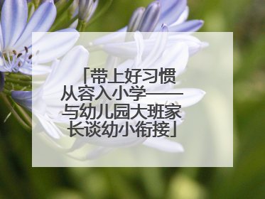 带上好习惯 从容入小学——与幼儿园大班家长谈幼小衔接
