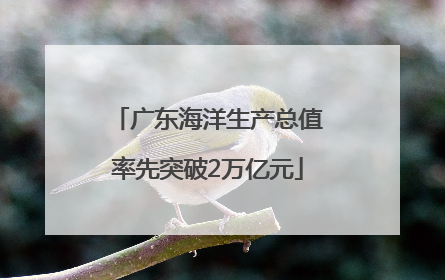 广东海洋生产总值率先突破2万亿元