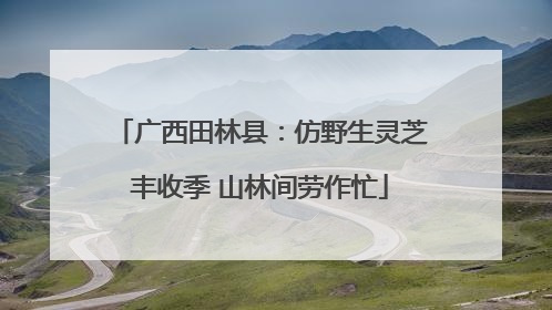 广西田林县：仿野生灵芝丰收季 山林间劳作忙