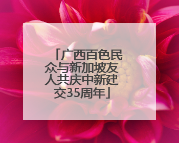 广西百色民众与新加坡友人共庆中新建交35周年