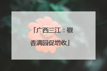 广西三江：椒香满园促增收