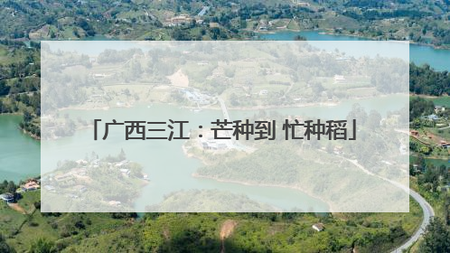 广西三江：芒种到 忙种稻
