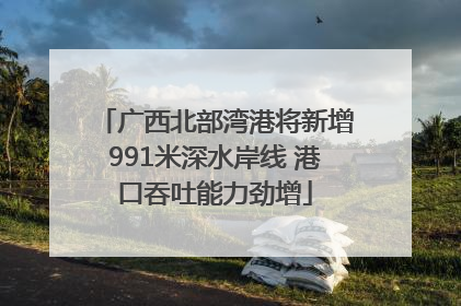 广西北部湾港将新增991米深水岸线 港口吞吐能力劲增
