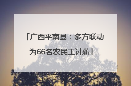 广西平南县：多方联动为66名农民工讨薪