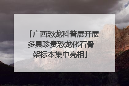 广西恐龙科普展开展 多具珍贵恐龙化石骨架标本集中亮相