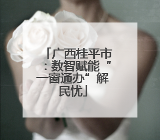 广西桂平市：数智赋能“一窗通办”解民忧