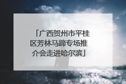 广西贺州市平桂区芳林马蹄专场推介会走进哈尔滨