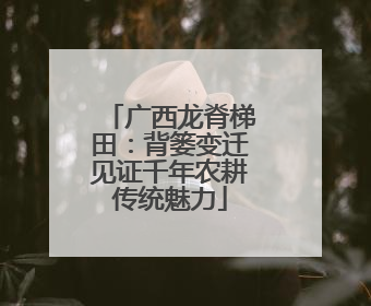广西龙脊梯田：背篓变迁见证千年农耕传统魅力