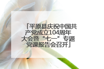 平原县庆祝中国共产党成立104周年大会暨“七一”专题党课报告会召开