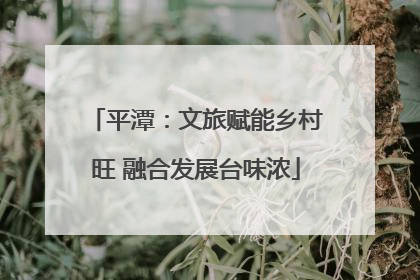 平潭：文旅赋能乡村旺 融合发展台味浓