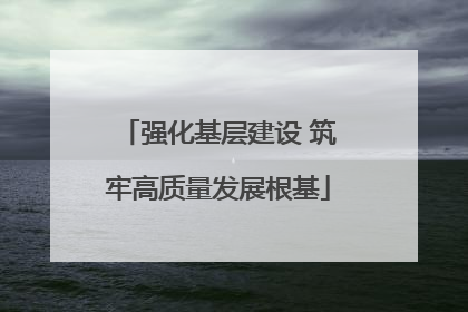强化基层建设 筑牢高质量发展根基