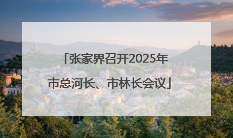张家界召开2025年市总河长、市林长会议
