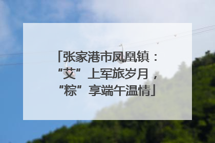 张家港市凤凰镇：“艾”上军旅岁月，“粽”享端午温情