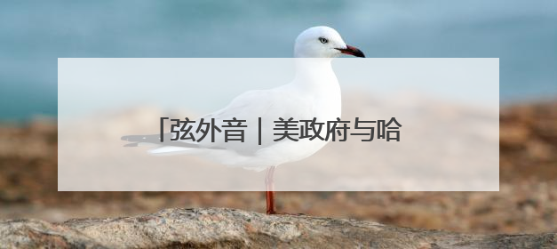 弦外音｜美政府与哈佛之争越闹越大，另外一场中东之战？