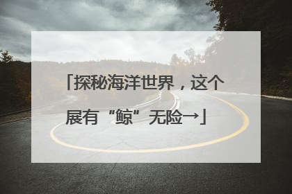探秘海洋世界，这个展有“鲸”无险→
