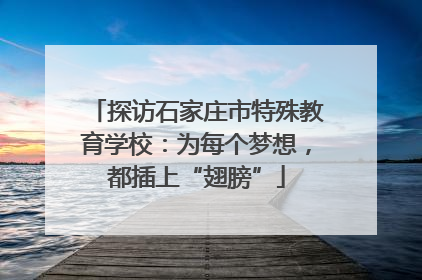 探访石家庄市特殊教育学校：为每个梦想，都插上“翅膀”