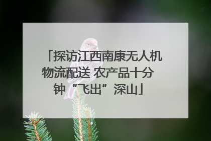 探访江西南康无人机物流配送 农产品十分钟“飞出”深山