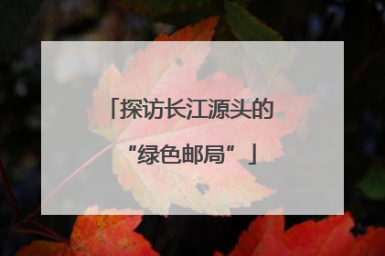 探访长江源头的“绿色邮局”