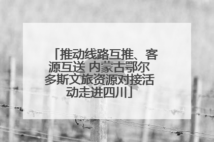 推动线路互推、客源互送 内蒙古鄂尔多斯文旅资源对接活动走进四川